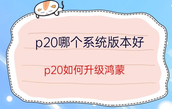 p20哪个系统版本好 p20如何升级鸿蒙？